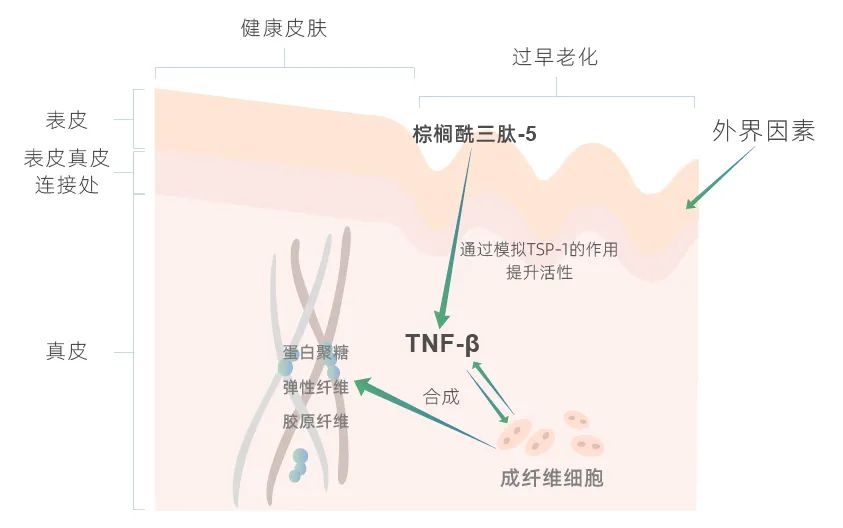 选对功效成分，和皱纹轻松Say No！