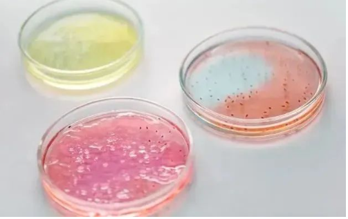 第三次生物技术革命,你准备好了吗? 第三次生物技术革命,你准备好了吗?