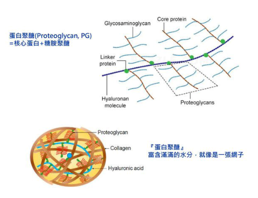抗衰成分下一个风口——玻色因(上) 抗衰成分下一个风口——玻色因(上)