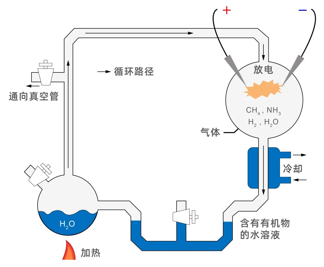 前沿资讯丨生命的起源:“RNA—多肽”的世界 前沿资讯丨生命的起源:“RNA—多肽”的世界