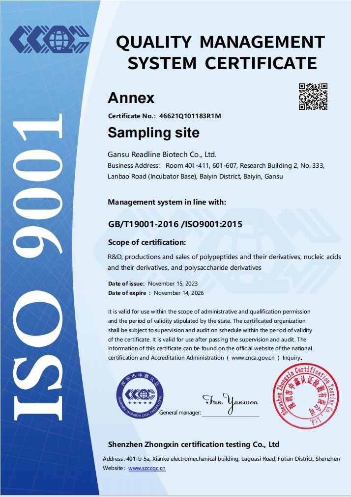 ISO 9001 甘肃