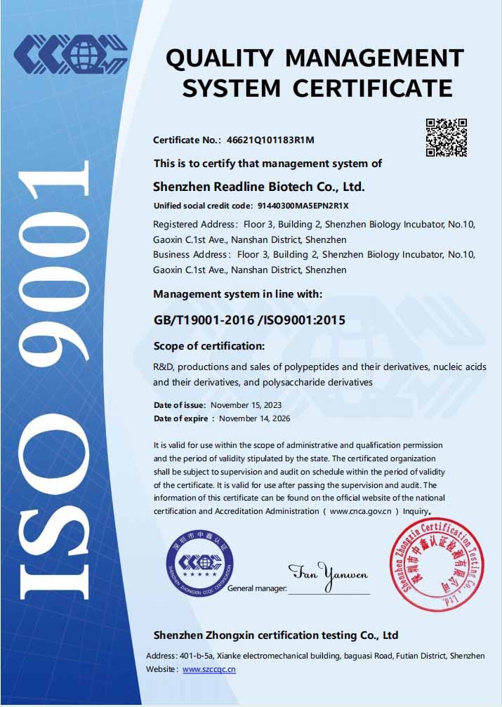 ISO 9001-深圳