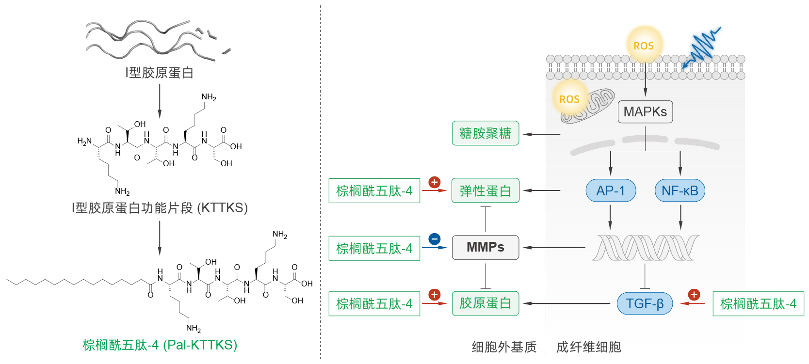 棕榈酰五肽-4