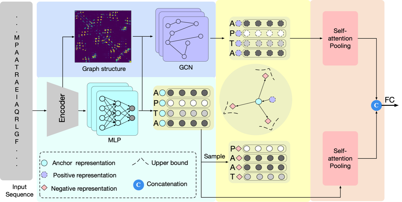 JCIM | Enzyme Products UK AI R&D Center Achieves Major Breakthrough in Protein Thermal Stability Prediction JCIM | Enzyme Products UK AI R&D Center Achieves Major Breakthrough in Protein Thermal Stability Prediction