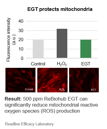 ReBiohub® EGT
